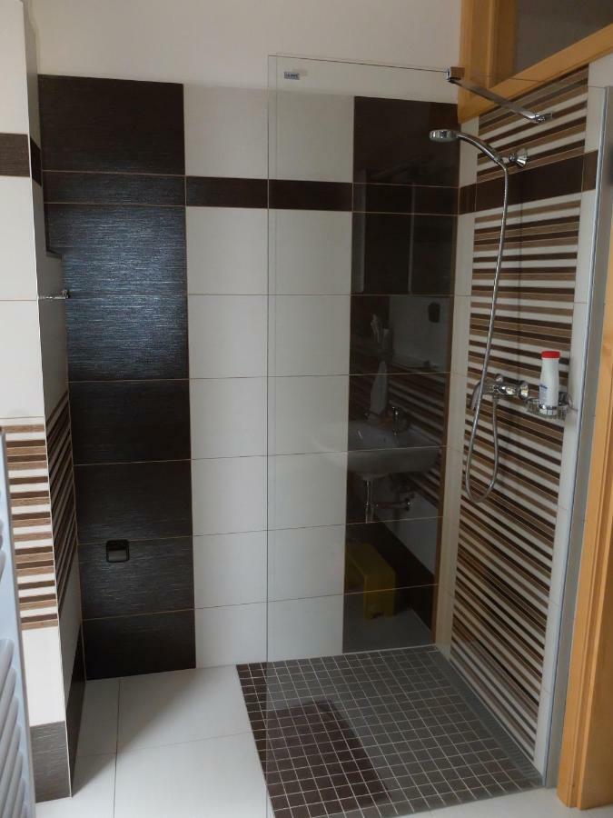 Apartment Třeboň Extérieur photo